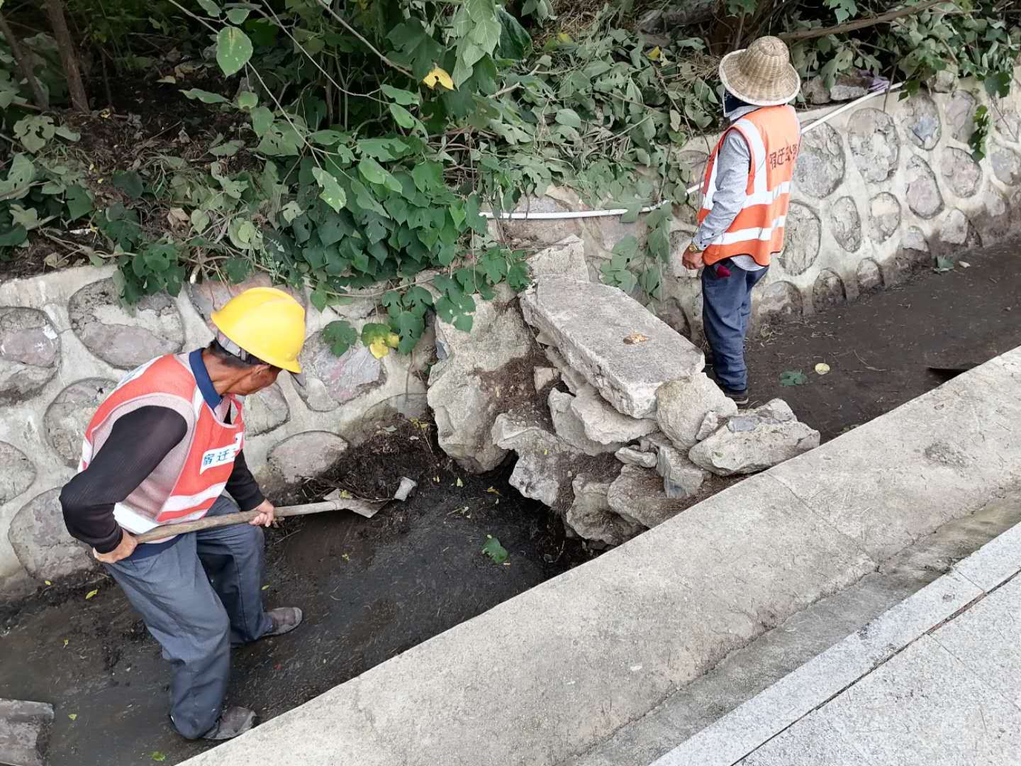 港澳资料免费公开